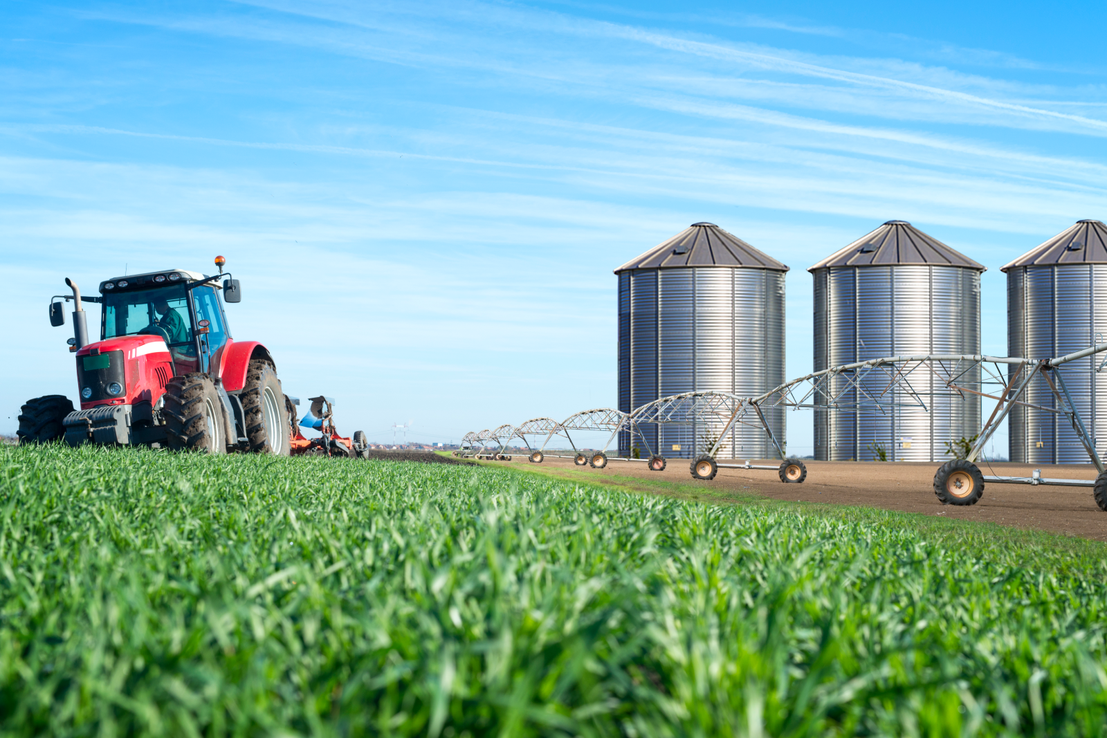 Agricultural and market infrastructure for food ecosystems.